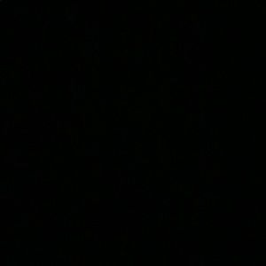 Meet your Posher, Lucy